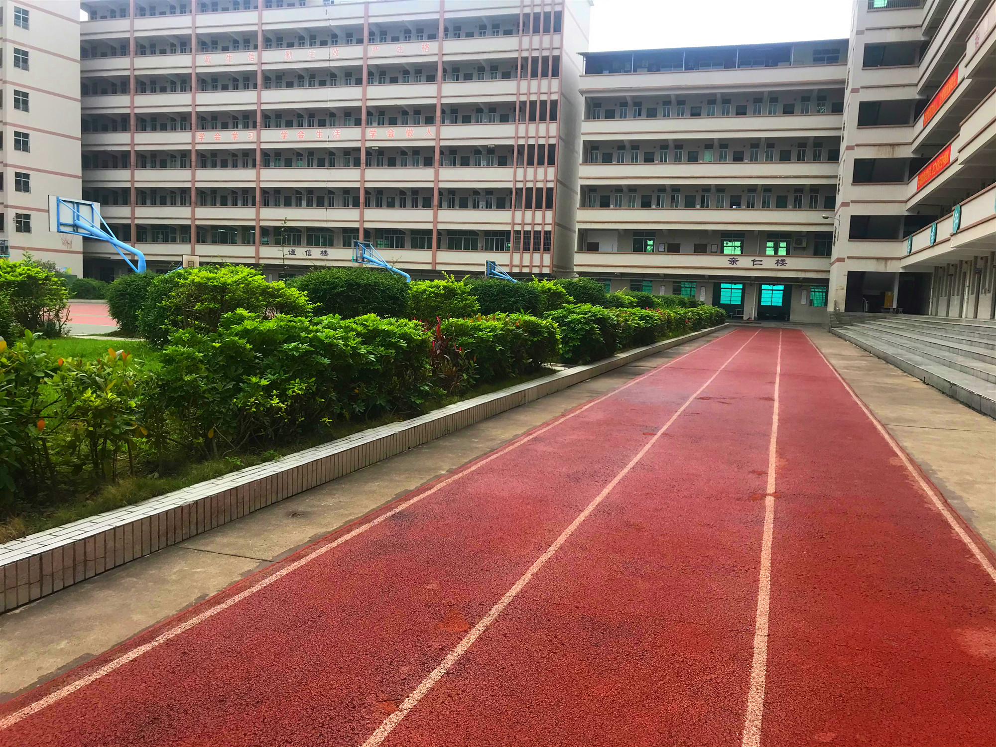 高州师范附属金阳学校-官网 高州师范附属金阳学校